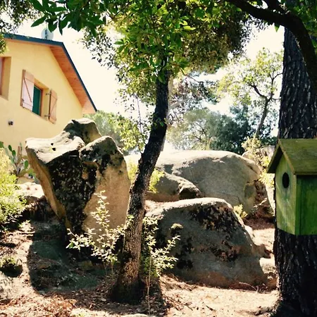 Casa Feliz Sant Cebrià de Vallalta