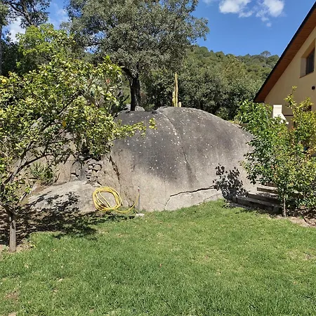 Casa Feliz بيت للعطل *