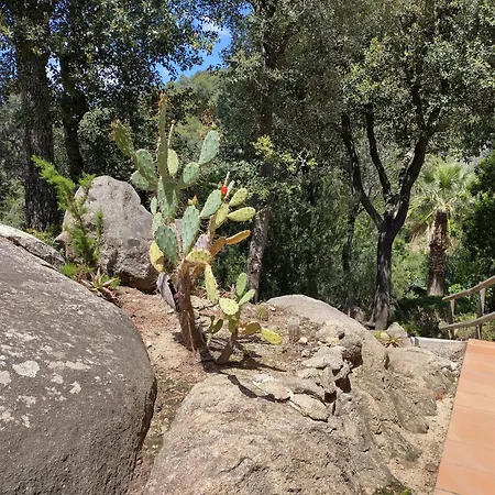 بيت للعطل Casa Feliz Sant Cebrià de Vallalta